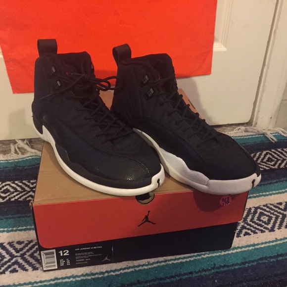 Air Jordan Retro 12 Neoprene Colorway. - Picture 2 of 7